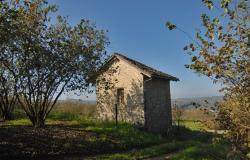 Return to properties Stone Shed with Panoramic Views and Land in the Langhe / FSL016