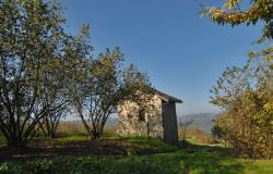 Return to properties Stone Shed with Panoramic Views and Land in the Langhe / FSL016