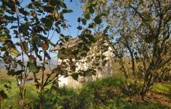 Return to properties Stone Shed with Panoramic Views and Land in the Langhe / FSL016