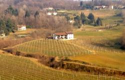 Asolo wine farm producing awarded 'Prosecco' ref.33a 0