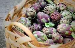 Basket of raw roman artichokes