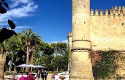 Beautiful winery in a Castle 