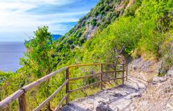 A walking trail in the Cinque Terre Park