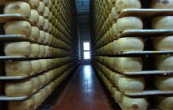 parmigiano cheese