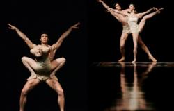 Roberto Bolle