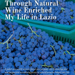 natural wine in lazio