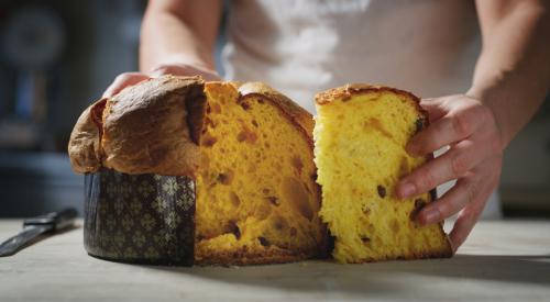 Panettone 