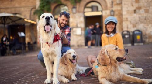 Traveling with dogs in Italy