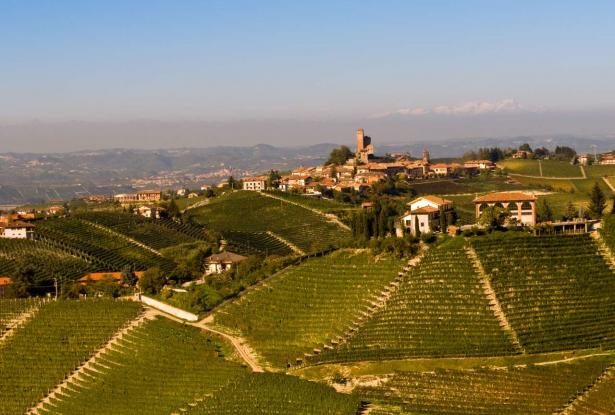 Luxury Vines, Velocity & Velvety flavors: A journey through Italy’s ...