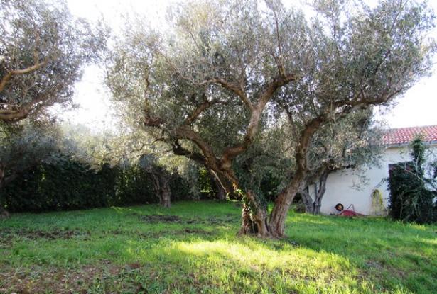 Beach house for sale in Abruzzo Italy