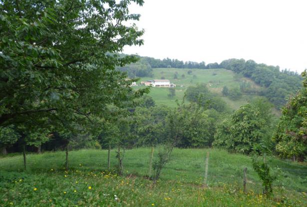 Country Home - Restored in Monastero di Vasco, A Freestanding House ...