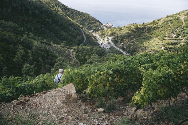 Cinque Terre! 