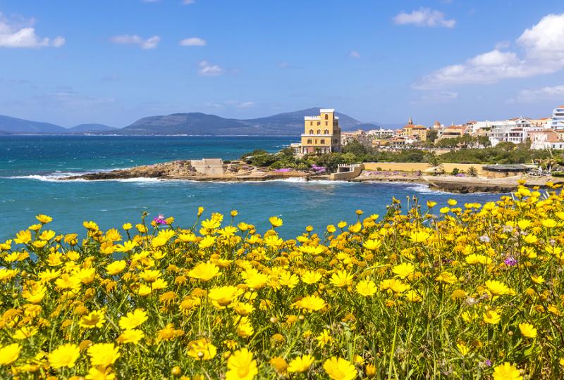 View of the coast in Alghero with blooming flowers