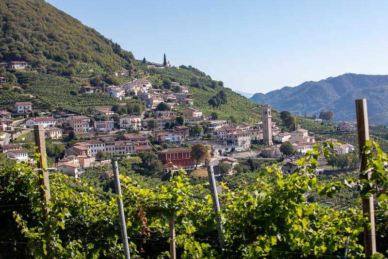 hills with vineyards of the Prosecco sparkling wine region between Valdobbiadene and Conegliano