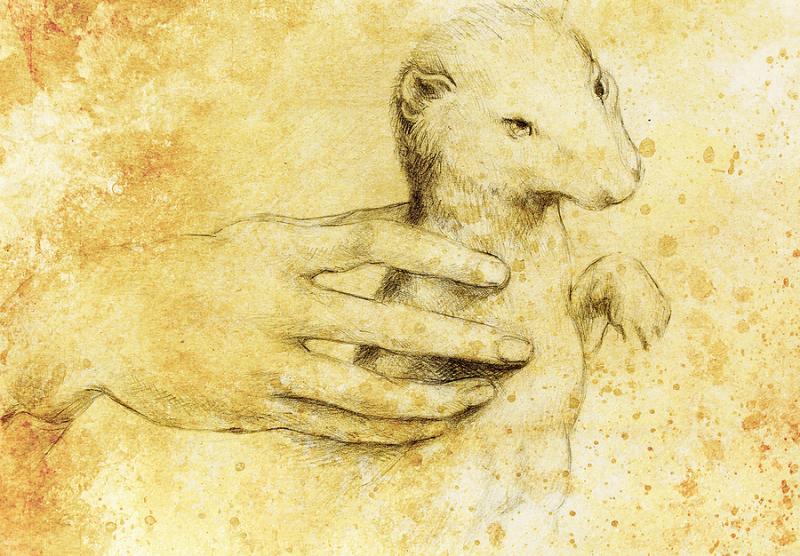 Leonardo Da Vinci s Lady with the Ermine History and Mystery