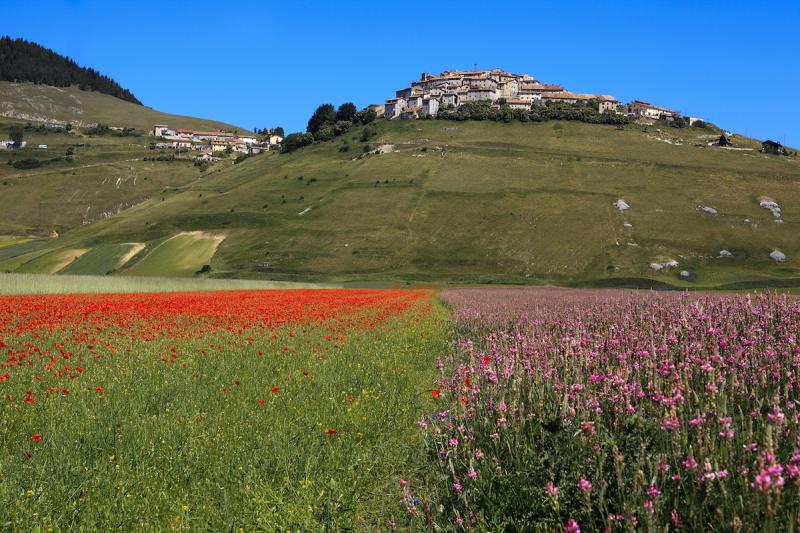 castelluccio di norcia