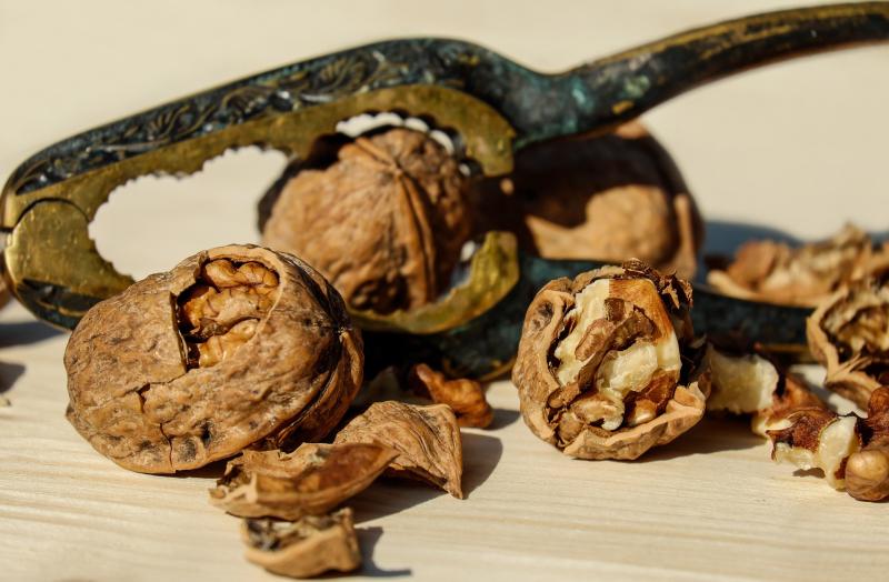 walnuts with vintage nut cracker