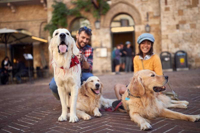 Traveling with dogs in Italy