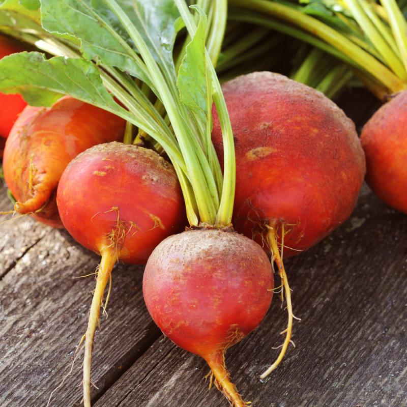 Golden beets