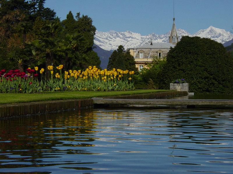 Lakeside garden