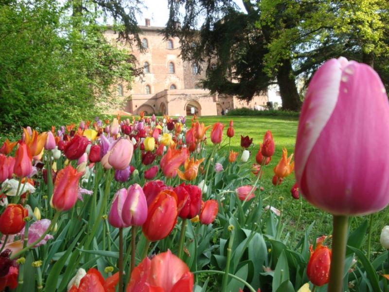 spring travel in Italy