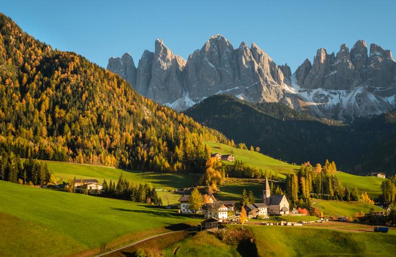 foliage in Italy