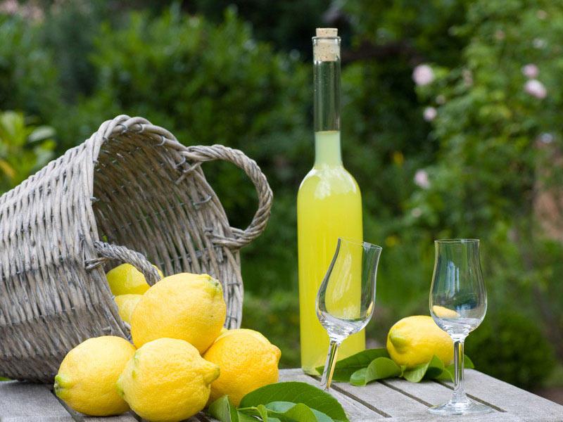 amalfi lemon limoncello