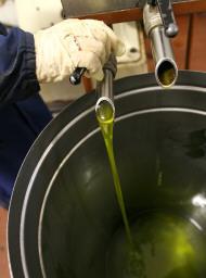 Arezzo is quality olive oil capital ITALY Magazine