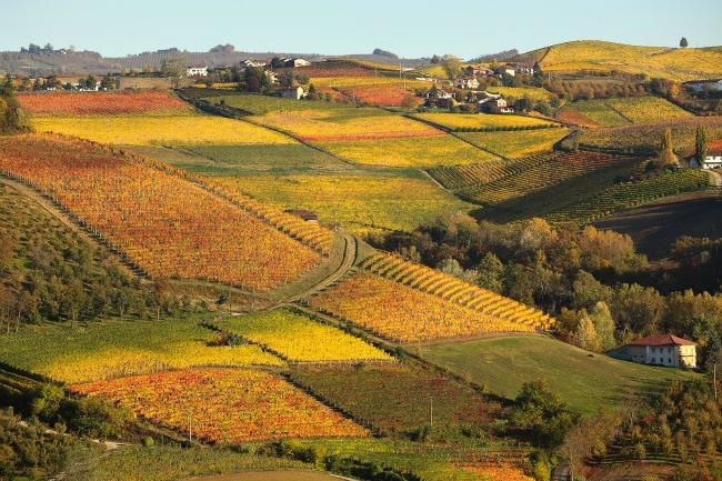 Fall in Italy