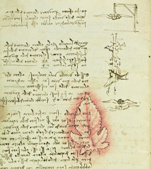 Leonardo’s Codex On The Flight Of Birds On Display In Rome For The ...