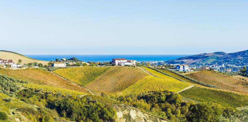 Landscape of Le Marche