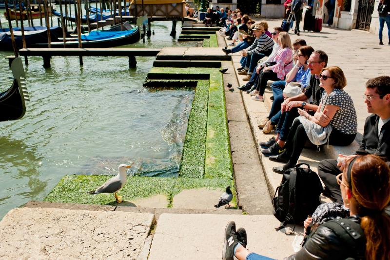 sitting ban Venice