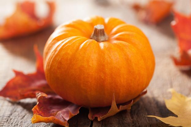 Word of the Week: ZUCCA | ITALY Magazine