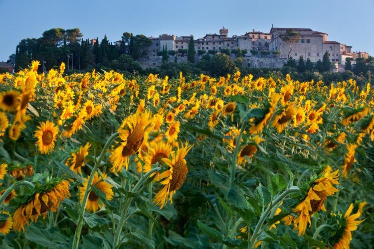 Umbria countryside