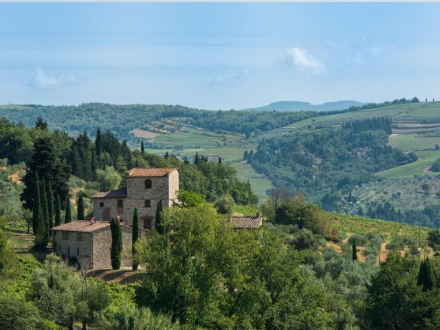 Villa Michelangelo for sale