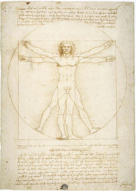 Vitruvian Man