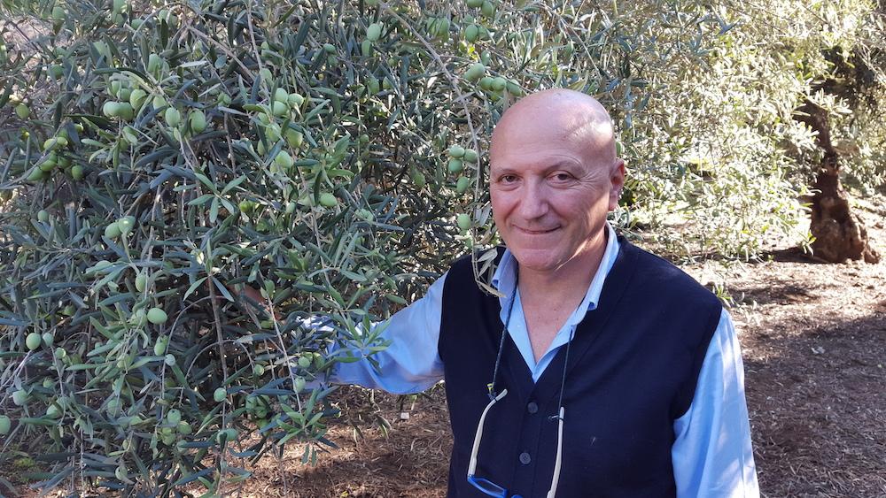 How to Get Italian Olive Oil Straight to Your Door | ITALY Magazine